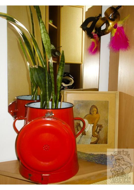 Hostal Gaia Astoria *